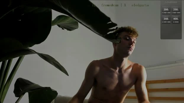 fromedcam 27-08-2026 Male analtoy ass Video