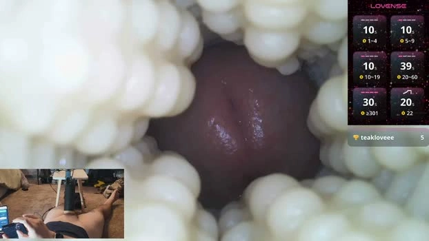 xoxowtf 30-08-2026 Male cute hardcock Video