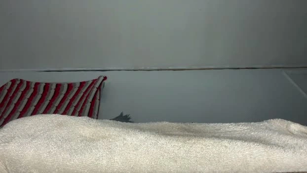 cumhere999 05-09-2026 Male harddick ass Video