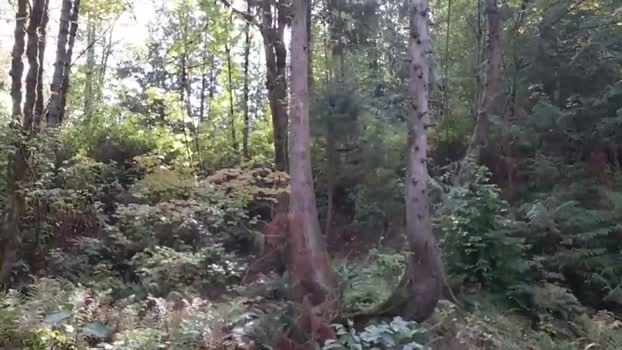 info_chat 09-09-2026 Male deepthroat jackoff Video
