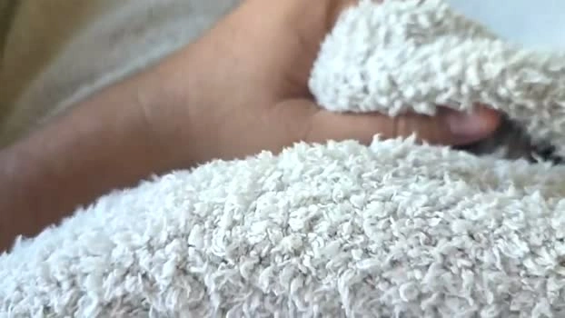 hornybi_40