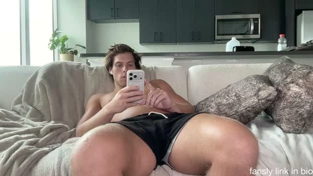 alex_islive 23-09-2026 Male fuck bj-dildo Video