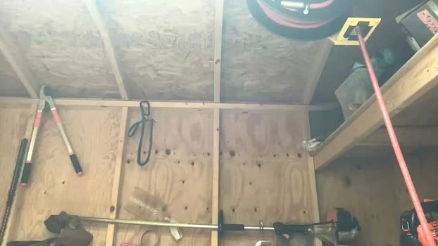 treeman817 10-10-2026 Male fuckface jerkoff Video