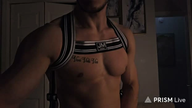 hardselfone 23-10-2026 Male oral jerking Video