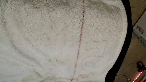 p_guin12345 26-10-2026 Male suckshow nasty Video